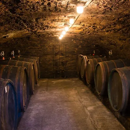 Zur Post - Burg An Der Mosel Burg (Bernkastel-Wittlich)