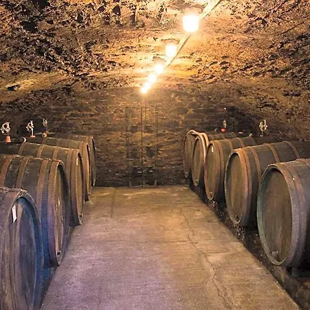 祖尔波斯特酒店 - 摩泽尔河畔城堡 Burg (Bernkastel-Wittlich)