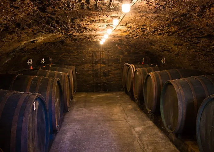 祖尔波斯特酒店 - 摩泽尔河畔城堡 Burg (Bernkastel-Wittlich)